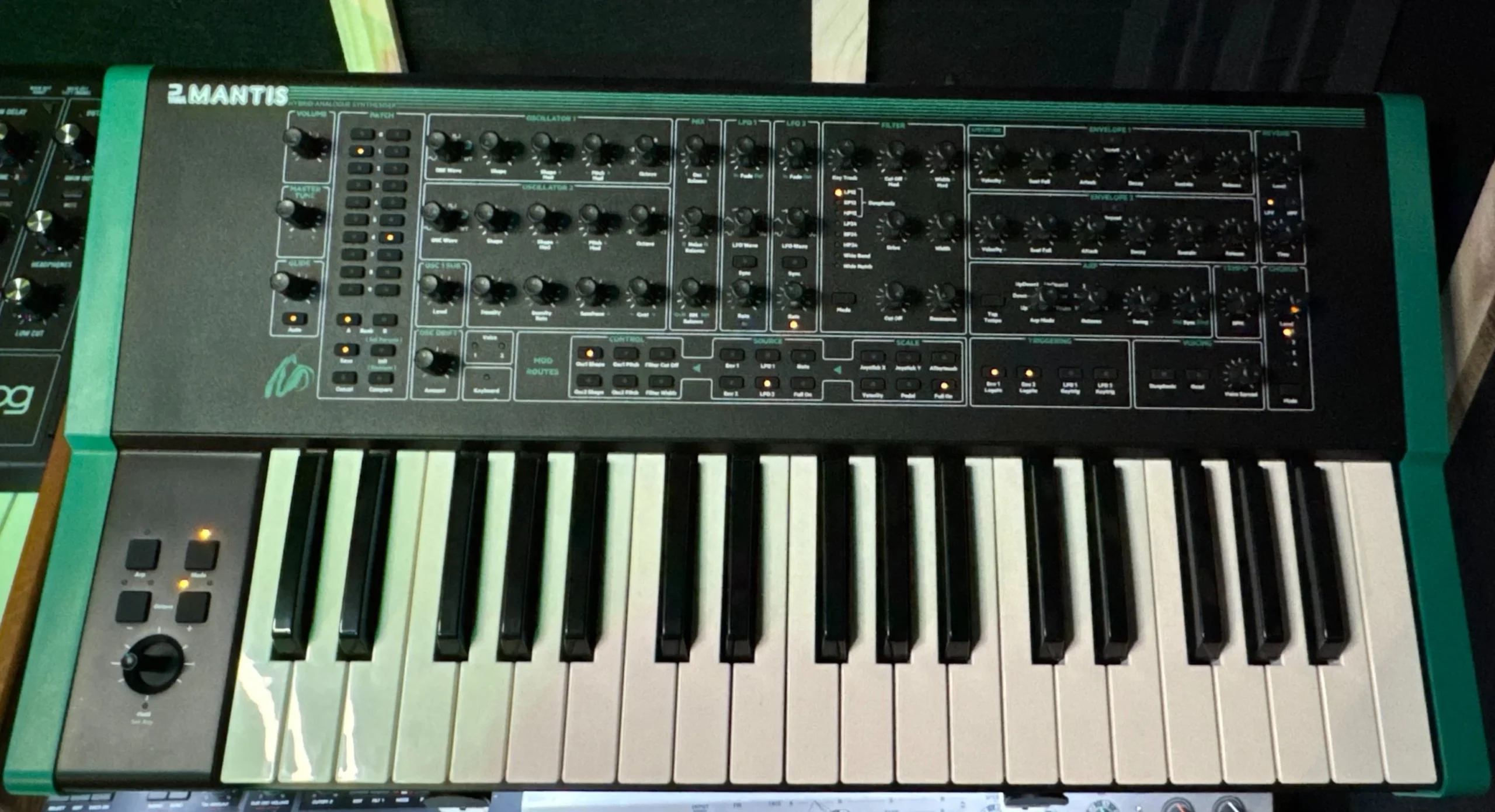 OberheimTeo5-dressyn'studio-studioenregistrement-beziers