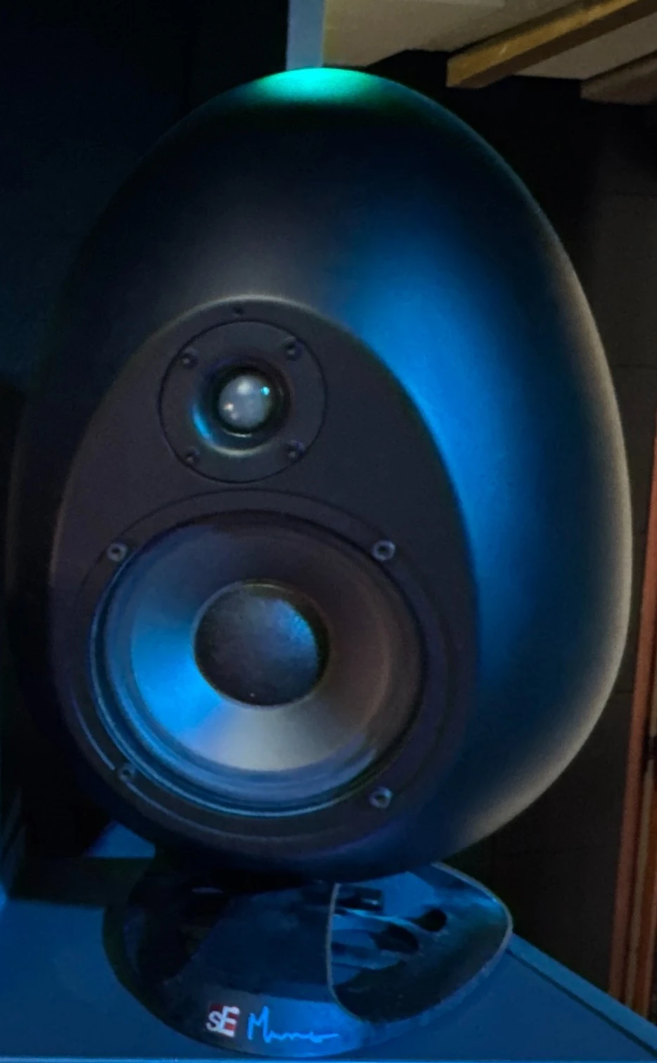 SeElectronicsMunroEgg150-dressyn'studio-studioenregistrement-beziers